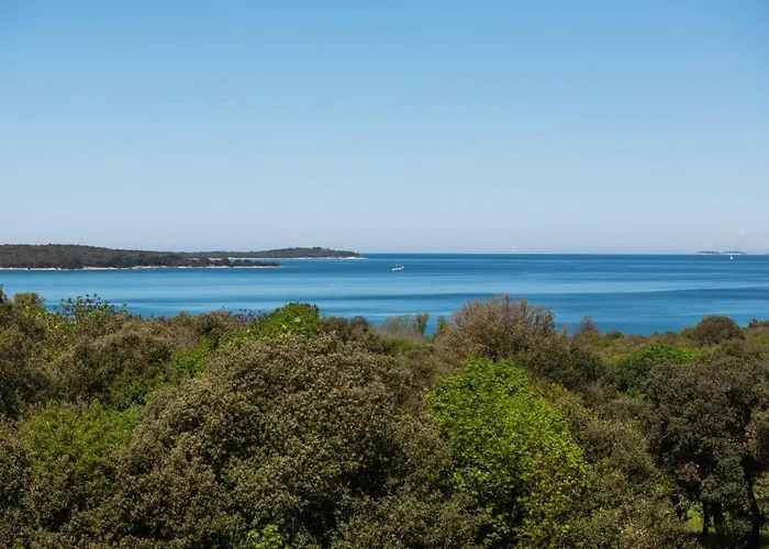 Dream Lounge With Sea View 아파트 *