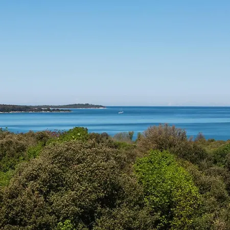 Dream Lounge With Sea View Apartman *